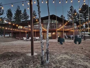 Image of Forest Dream