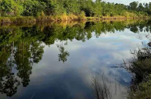 Image of Fresh Water Canal Sunset Hide A Way North in Paradise,Naples,Florida