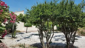 Image of Nice apartment quiet residence with terrace and private parking 4ZOD1-L4