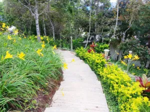 Image of Celyn Resort Kinabalu