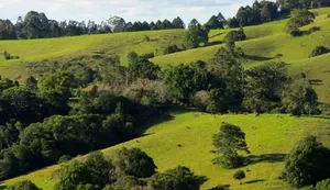 Image of Luxury Accommodation - Harris