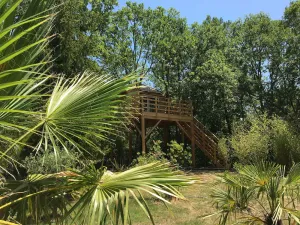 Image of Unusual accommodation, tree house with panoramic terrace!