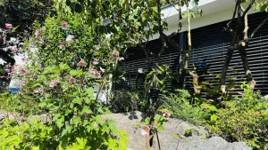 Image of Vacation apartment with terrace in the beautiful Spessart Nature Park