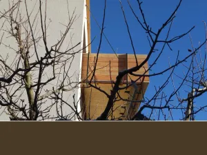 Image of Holztau