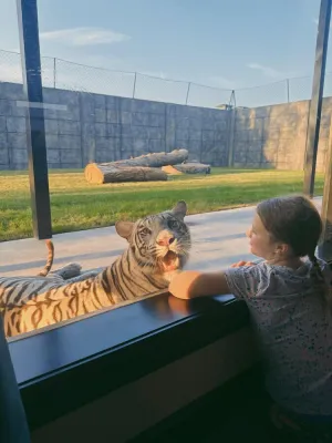 Image of Big Cat Bungalows at The Haven