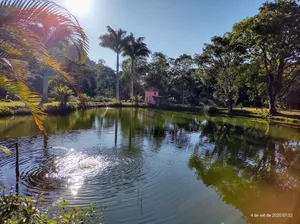 Image of Forest site - Santa Teresa - ES