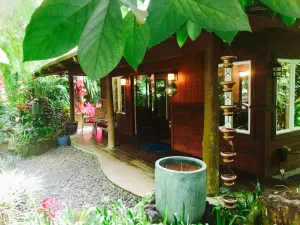 Image of Private Cottage In The Rain Forest TA065882726401