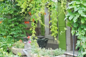 Image of WARM AND COMFORTABLE FAMILY HOUSE near the AVIGNON FESTIVAL