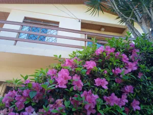 Image of Hospedaria das Azaleias