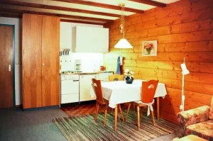 Image of Appartement 4 Balkon, Kochnische, 1 Wohn-schlafz., Max. 2 Pers