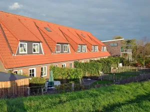 Image of Graugans