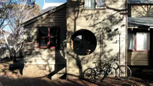 Image of Burramys - Dinner Plain