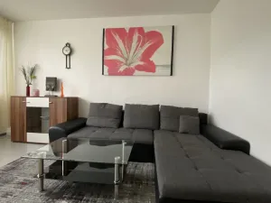 Image of Vacation apartment Mainz City