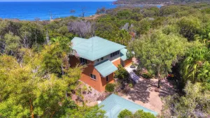 Image of SEASHELLS ON THE BEACH