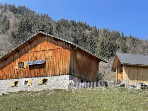 Image of Alpine chalet in the heart of nature near Geneva