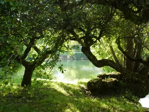 Image of Small, quiet gite close to the center