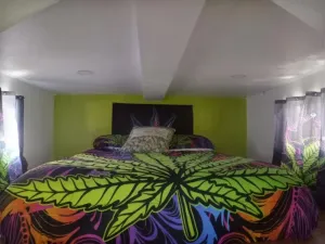 Image of Reefer Madness House *420, Glow in the Dark, Fun!