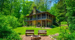Image of Natures Nest