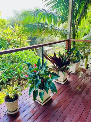 Image of Grandview Retreat, Hinterland Self Contained Apartment