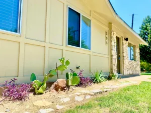 Image of New!Cute cottage within walking distance of square.Close to parks and City Beach