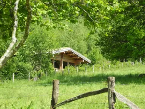 Image of Meet with unusual… you will experience a change of scene! Private spa jacuzzi.