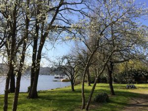 Image of Port de Folleux, waterfront accommodation with terrace in wooded garden