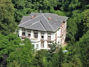 Image of Living directly on the edge of the forest in Bad Tabarz in the Spindler Villa