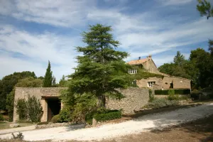 Image of Domaine de la Gaille charming 2 rooms detached cottage