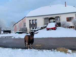 Image of Gîte de l'Echappée Bêêêle