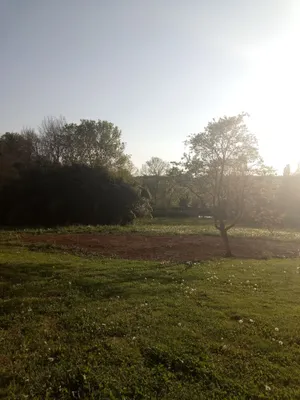 Image of Waterfront country property