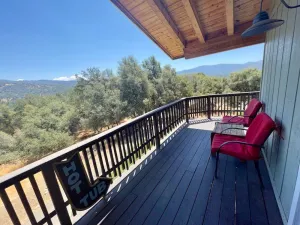 Image of Squirrel View Hot tub BBQ Patio Shuffle Board