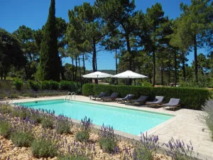 Image of Les Lauriers