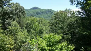 Image of North Georgia Mountain Place
