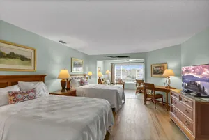 Image of Baby Blue Heron - Studio unit, sleeps 4, great views!