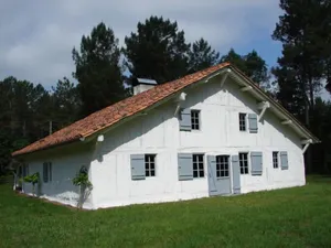 Image of Le bourrut