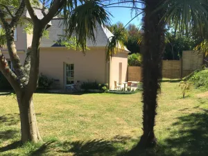 Image of Les Albizzias - Cancale