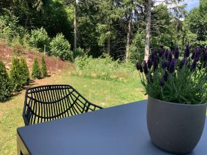 Image of Moderne Wohnung im Grünen mit privatem Garten