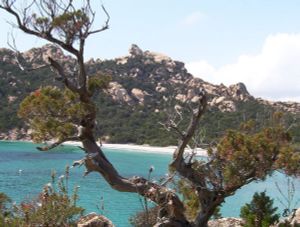 Image of A Vigna, Sea 6 km, Panoramic view, Wifi, Air-conditioned