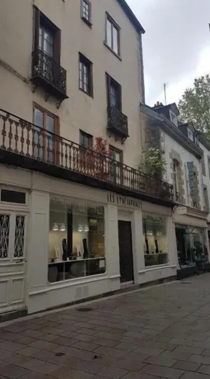 Image of Vue incroyable sur Vannes à deux pas des remparts