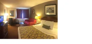 Image of OHIO BEST 12