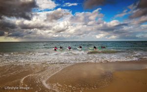 Image of The Dans @ Long Beach - 30 Seconds from the Beach