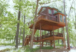 Image of High Hope Tree House #1 @Spring Lake Ranch