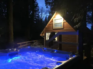 Image of The Cornerstone Cabin - Mount Rainier