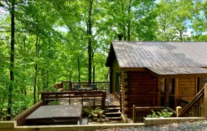 Image of Cozy Mountain Cabin in Aska Wilderness with Saltwater Hot Tub in Blue Ridge, GA
