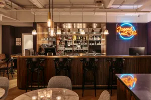 Image of Hotel Schani Salon