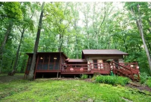 Image of 1859 Historic Log Cabin, pet friendly and 5 minutes to Nashville!