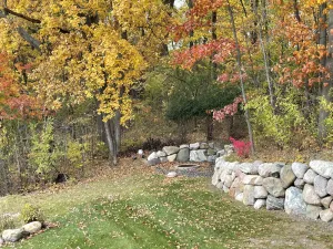 Image of 2BR Family-Sized Lower Suite with Private Entrance & Big Backyard. Pet-Friendly!