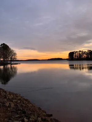 Image of Pirate's Retreat -Beautifully renovated lake home with Dock minutes from Clemson