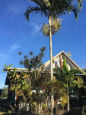 Image of Tropical pole home near the beach.