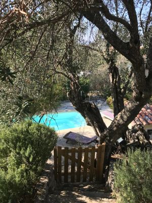 Image of Villa with swimming pool in a property planted with century-old olive trees